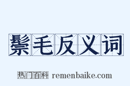 鬃毛反义词是什么意思的图片